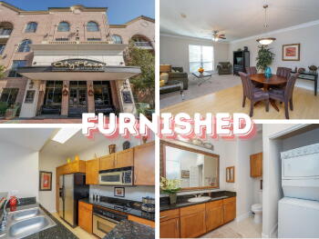 2299 Lone Star Drive Unit 202 , Sugar Land,  77479