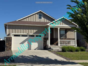1902 Thundercloud Dr , Windsor,  80550