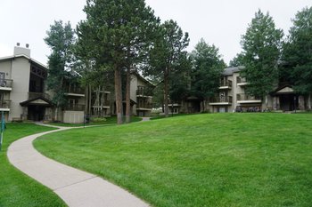 29656 Buffalo Park Road #201, Evergreen,  80439