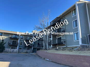 31270 John Wallace Road Apt. 204, Evergreen,  80439