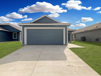 1846 Musk Rose , Converse,  78109