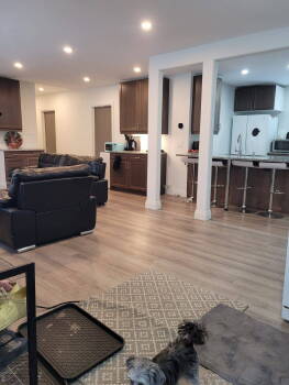 549 Sidney Street 1, Belleville,  K8P 4A4