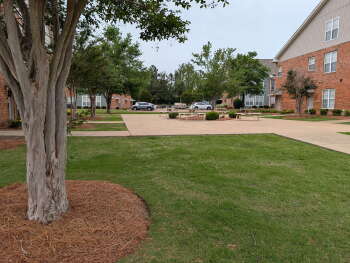 902 Private Road 3097 , Oxford,  38655