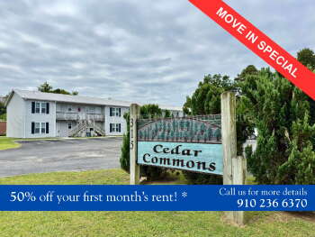 315 South Dudley Street Apt 12, Burgaw,  28425