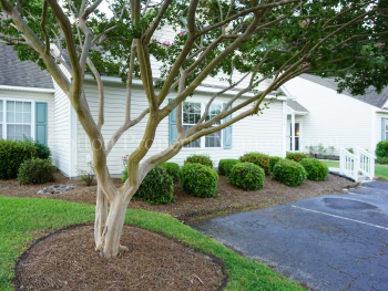 4604 Song Sparrow Ct , Wilmington,  28412
