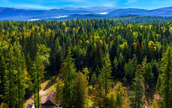 View Full Image