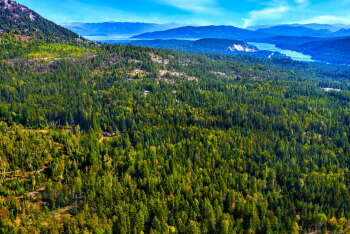 View Full Image