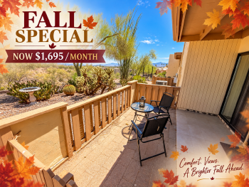 5144 North Avenida Primera , Tucson,  85704
