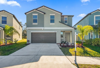 5157 White Chicory Drive , Ruskin,  33572