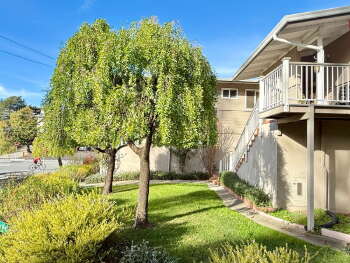 100 Belvedere Drive Unit 2, Mill Valley,  94941
