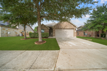 3113 Muntjac , Schertz,  78154