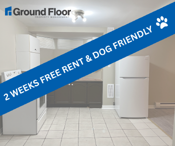 9 Mansfield St (II) - B , Moncton,  E1A 2V8