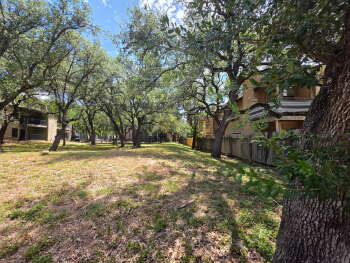 View Full Image