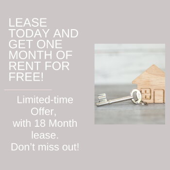 155 Salt Springs Rd , Kyle,  78640