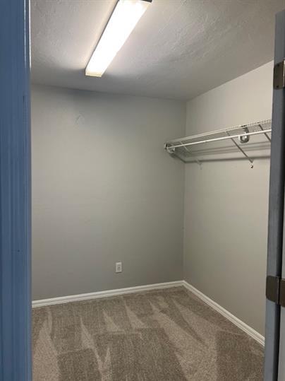 Spacious 4-Bedroom Home with Den & Fresh Updates in San Carlos Park photo 19