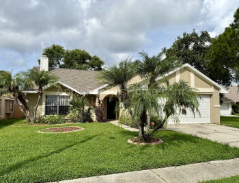 1254 Tuxford Drive , Brandon,  33511