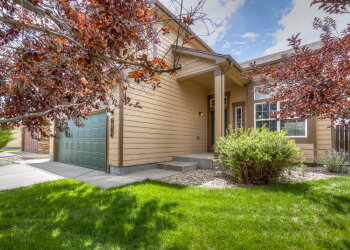 6104 Hayfield Pl , Colorado Springs,  80925