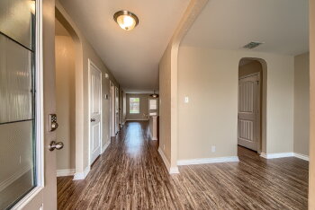 815 Red Crossbill , San Antonio,  78253