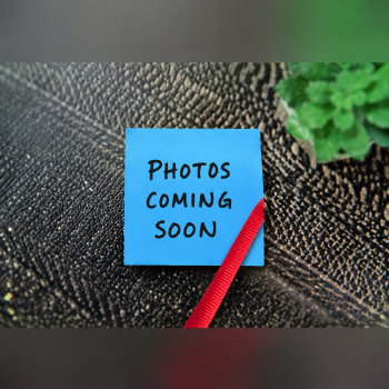 View Full Image