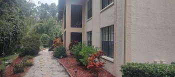 3323 Crystal Ct E Unit D, Palm Harbor,  34685