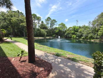 2138 Chianti Place #1410, Palm Harbor,  34683