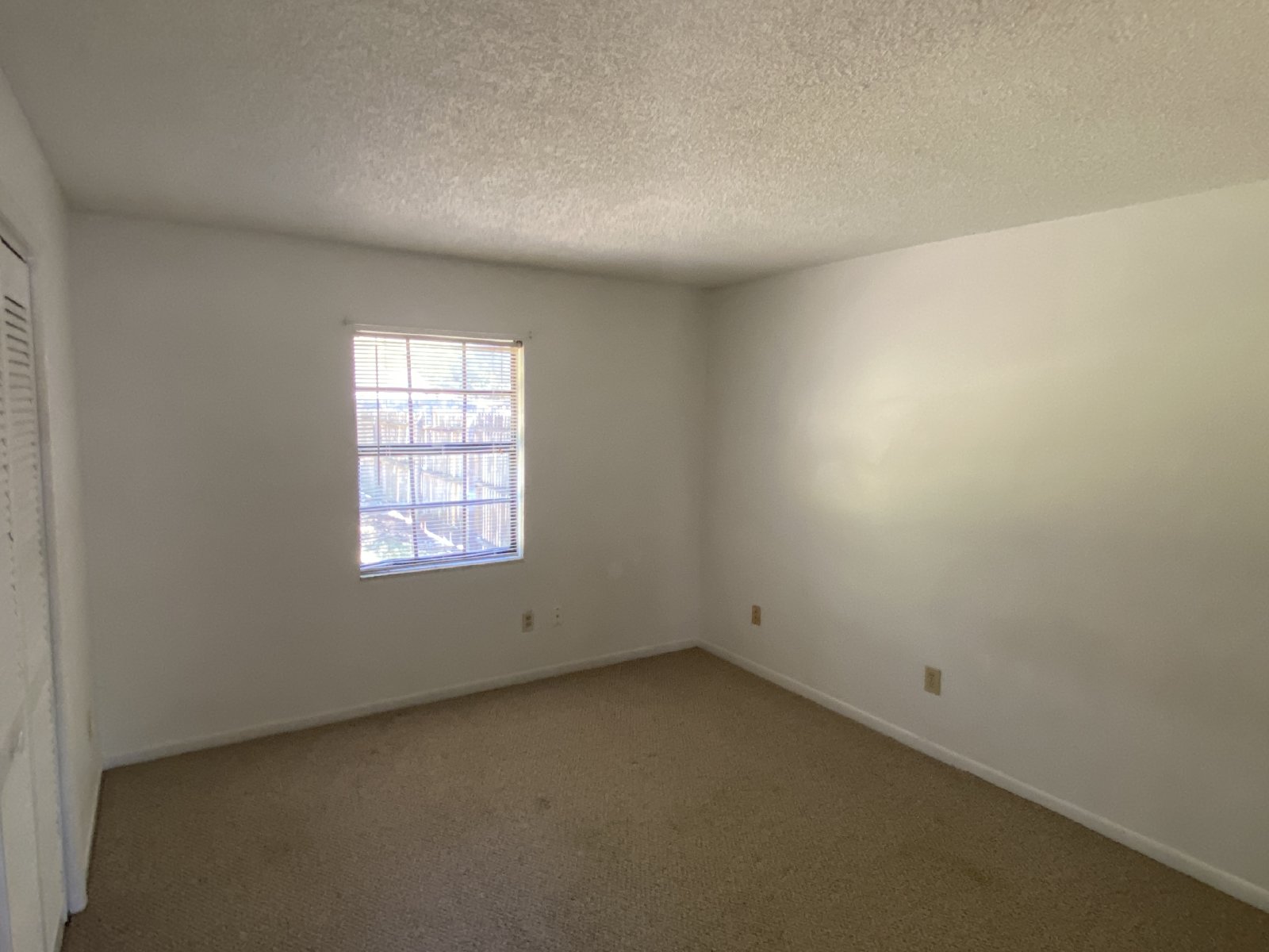 726 Sunbright Drive Seffner, FL 33584 Millennial Realty