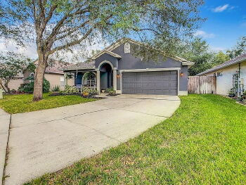 1407 Trail Boss Lane , Brandon,  33511