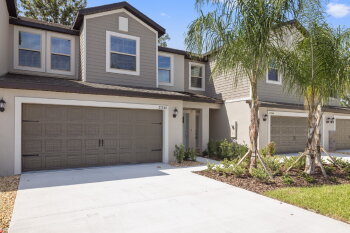1746 Roseville Street , Lutz,  33549
