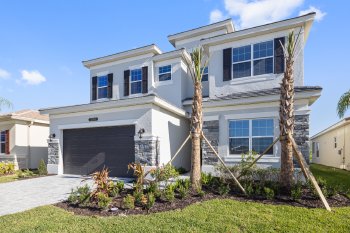 32754 Tree of Life Avenue , Wesley Chapel,  33543