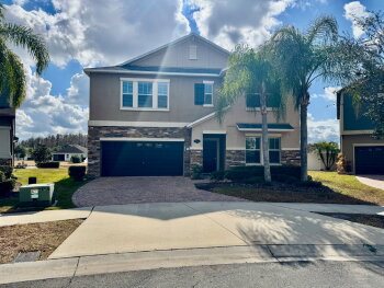 19417 Paddock View Drive , Tampa,  33647