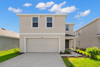 11918 Downy Birch Drive , Riverview,  33569