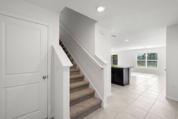 11918 Downy Birch Drive , Riverview,  33569