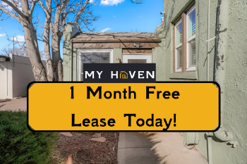 7015 West 38th Avenue Unit 3, Wheat Ridge,  80033