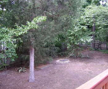 2232 Long and Winding Rd , Raleigh,  27603