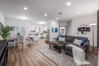 11782 Jollyville Rd, Ste. 205 , Austin,  78729