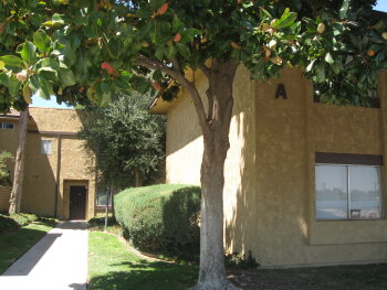 42935 15th St W Unit 6, Lancaster,  93534