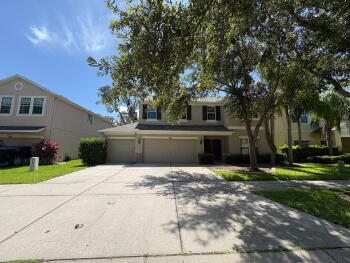 5822 Tulip Flower Drive , Riverview,  33578