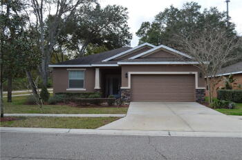 8611 Olive Moss Ct , Riverview,  33569