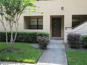 4957 Puritan Cir # 403 , Tampa,  33617-8356