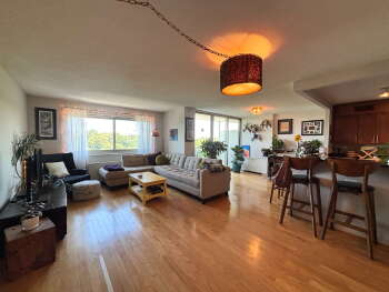 7333 New Hampshire Avenue PH09 S, Takoma Park,  20912