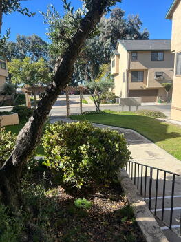 43187 Grimmer Terrace , Fremont,  94538