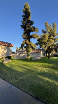 82567 Ave 48 #109, Indio,  92201