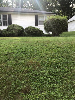 1204 North Lincoln Street , Bloomington,  47408