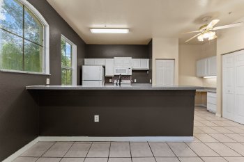 5039 Sunridge Palms Drive Unit 204, Tampa,  33617