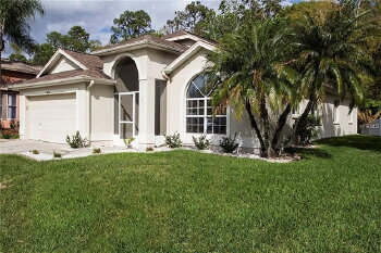1424 Firewheel Dr , Wesley Chapel,  33543