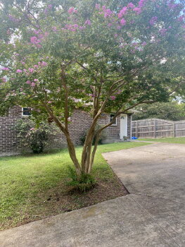 197 Hicks Rd , Nashville,  37221