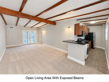 897 N Highland Ave NE Apt A2, Atlanta,  30306-4534