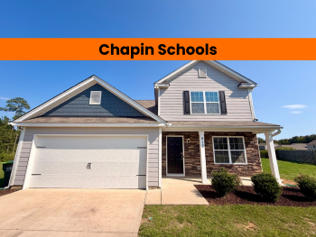 417 Spearman Court , Chapin,  29036