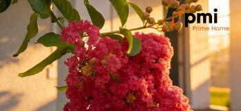 View Full Image