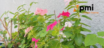 View Full Image